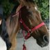NJ (@najlam51664379) Twitter profile photo NJ (@najlam51664379) Twitter profile photo