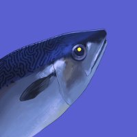 SABA-TABA (@sabatabasaba) 's Twitter Profile Photo SABA-TABA (@sabatabasaba) 's Twitter Profile Photo