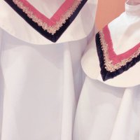 わかめ (@wakame_0305) 's Twitter Profile