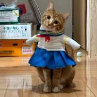 ふじさん (@xburadolx) 's Twitter Profile