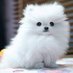 Thinh Ngoc (@ngoc527628) Twitter profile photo Thinh Ngoc (@ngoc527628) Twitter profile photo
