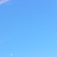 みやの (@miyano2_) 's Twitter Profile