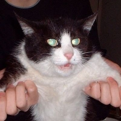 だいこもんさんのプロフィール画像