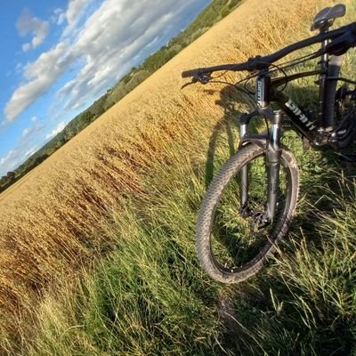 HarleyHBalloons's profile picture. Probably on a bicycle