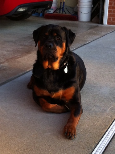 Downrange45's profile picture. 