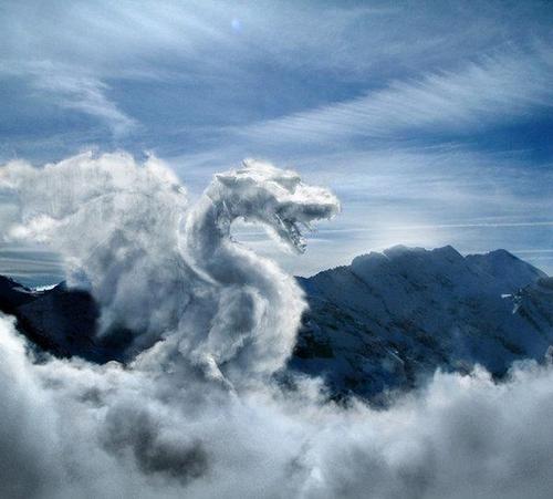 EmeraldToker's profile picture. 