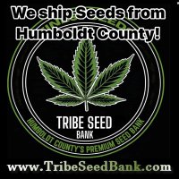 Marijuana Union (@marijuanaunion) 's Twitter Profile