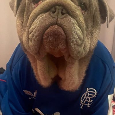 JohnJohnst92803's profile picture. 