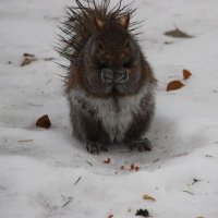 wayne (@wayneq4444) 's Twitter Profile Photo