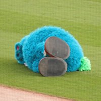 🎏やす🎏 (@yasuzo217) 's Twitter Profile Photo