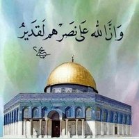 محمد احمد شرف الدين (@ahmdmhmd33758) Twitter profile photo