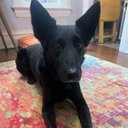 Carrie - @CarrieOU090 - Twitter