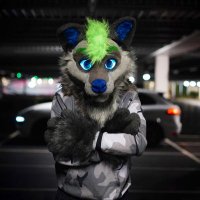 Ruswarp (Russ-up) (@ruswarpwolf) 's Twitter Profile Photo