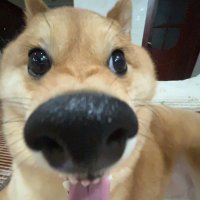 교만 (@kzmanzip) 's Twitter Profile