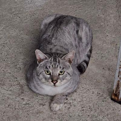 Mr_legaccy's profile picture. DM이 보이지 않습니다!
DM 후 맘찍 부탁드려요 :)