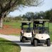 Vineyards CC (@vineyardscc) Twitter profile photo Vineyards CC (@vineyardscc) Twitter profile photo