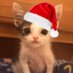 McAle Gorbitrough II 🍉 (@de3vster_) Twitter profile photo McAle Gorbitrough II 🍉 (@de3vster_) Twitter profile photo