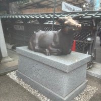 yuki (@r_opdw) Twitter profile photo