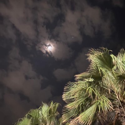 DrBeshan's profile picture. Clinical pharmacy intern✨💊