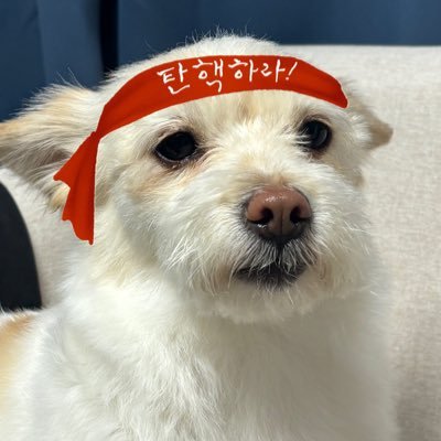 🕯️두유さんのプロフィール画像