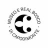 Capodimonte_mus's profile picture. Official Page del Museo e Real Bosco di Capodimonte