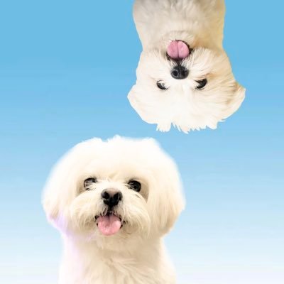 かわいいぬｽﾞさんのプロフィール画像