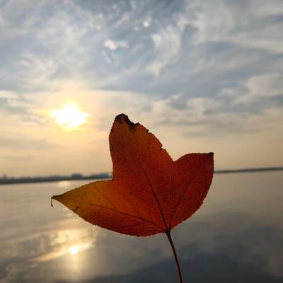 BoyceYue28085's profile picture.