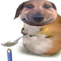 뾰봉 (@ppyobong11) 's Twitter Profile Photo