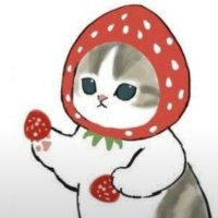 π (@stroeberrikeyk) 's Twitter Profile