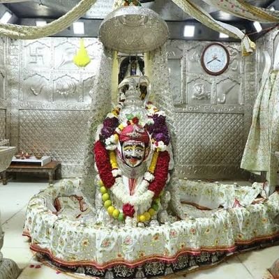 anilarela213's profile picture. 