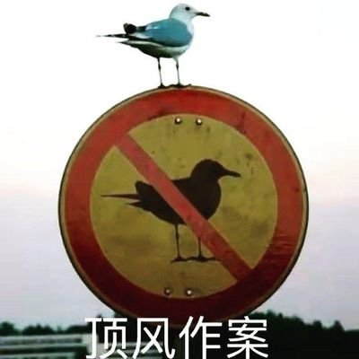 GDobosz58742's profile picture. 来自中国的武术爱好者 Shopify 爱好者