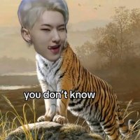 tiger lee (@pkyuasdfgh) 's Twitter Profile