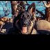 cearense no rj 🐕🐕 (@bruno34915647) Twitter profile photo cearense no rj 🐕🐕 (@bruno34915647) Twitter profile photo