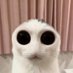 Disturbing Cat Coin (@disturbing_cat) Twitter profile photo Disturbing Cat Coin (@disturbing_cat) Twitter profile photo