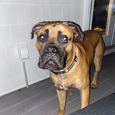 RobertL915's profile picture. 