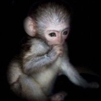 carito (@_carrrrrrr) 's Twitter Profile Photo carito (@_carrrrrrr) 's Twitter Profile Photo