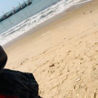 Pabe❤️🙏 (@pabe1063528) 's Twitter Profile