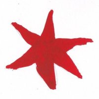 Proportio (@newproportio) 's Twitter Profile