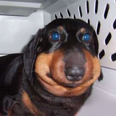 AshCrawford491's profile picture. Who? what? where? why? when?