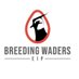 Breeding Waders EIP Project (@breedingwaders) Twitter profile photo Breeding Waders EIP Project (@breedingwaders) Twitter profile photo