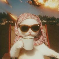 jermy (@jermy_try) 's Twitter Profile