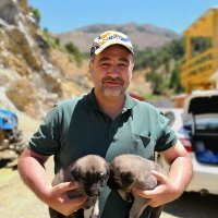 M. Sami TÜRKMENOĞLU (@muftusami) 's Twitter Profile Photo