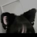 Cereza (@monchecherry) Twitter profile photo Cereza (@monchecherry) Twitter profile photo