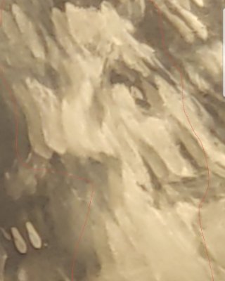 light_army888's profile picture. 