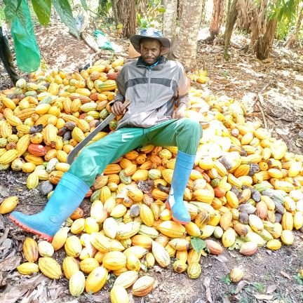 TakouJordan1's profile picture. I'm a Computer Scientist Studying Agriculture/Agronomy, pleasure being in the farm 💚!
Always Focused and Working on my  Future.
Call me the TheGeekFarmer
BSc ⏳