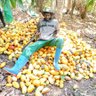 TakouJordan1's profile picture. I'm a Computer Scientist Studying Agriculture/Agronomy, pleasure being in the farm 💚!
Always Focused and Working on my  Future.
Call me the TheGeekFarmer
BSc ⏳