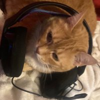 ! (@sgimmobile) 's Twitter Profile