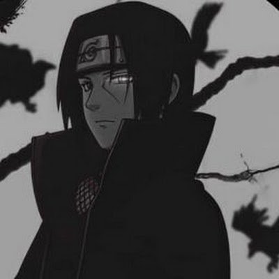 Sohaib455759515's profile picture.