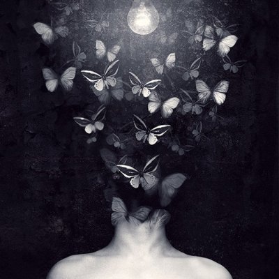 sinox341eth's profile picture.
