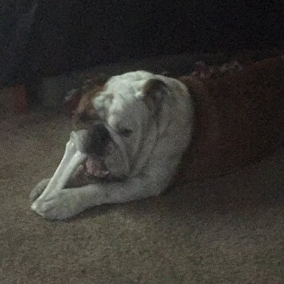 NicholasAl4051's profile picture.